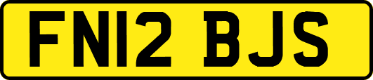 FN12BJS