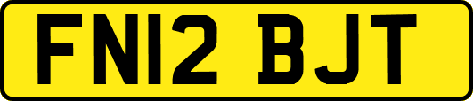 FN12BJT