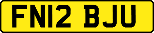 FN12BJU