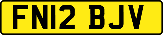 FN12BJV