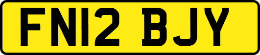 FN12BJY
