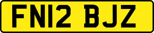 FN12BJZ