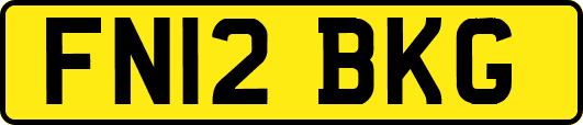 FN12BKG