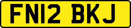 FN12BKJ