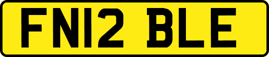 FN12BLE