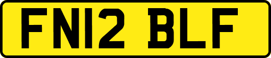 FN12BLF