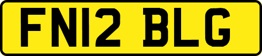FN12BLG