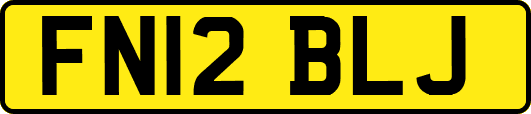 FN12BLJ