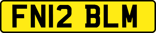 FN12BLM