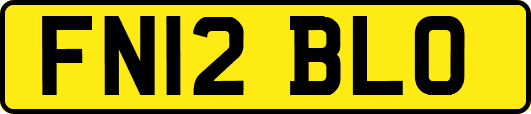 FN12BLO