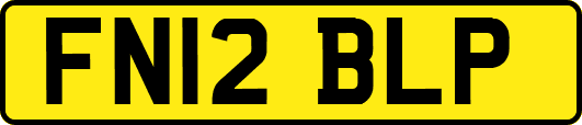 FN12BLP