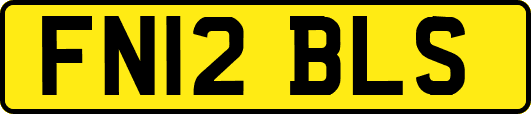 FN12BLS