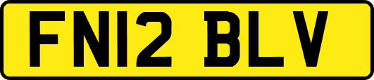 FN12BLV
