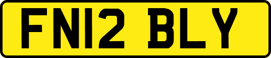 FN12BLY
