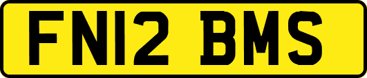 FN12BMS