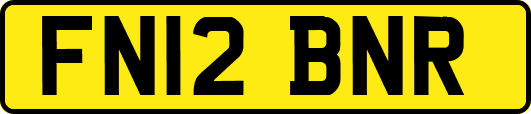FN12BNR