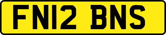 FN12BNS