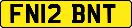 FN12BNT
