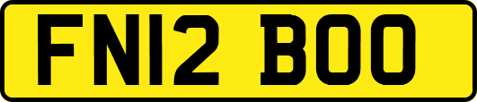 FN12BOO