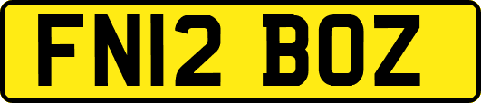 FN12BOZ