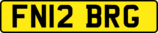 FN12BRG