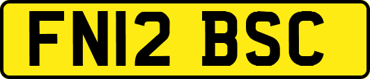FN12BSC