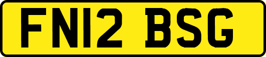 FN12BSG