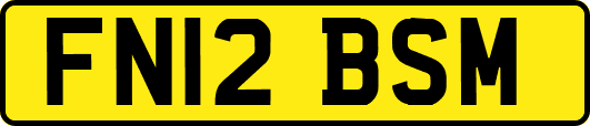 FN12BSM