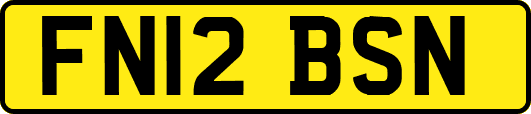 FN12BSN