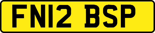 FN12BSP