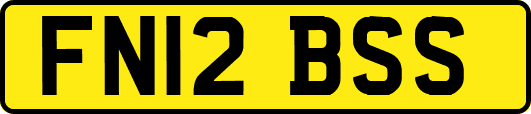 FN12BSS