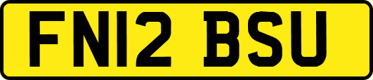 FN12BSU