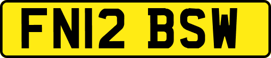 FN12BSW