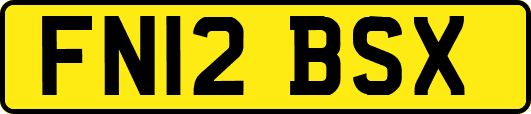 FN12BSX