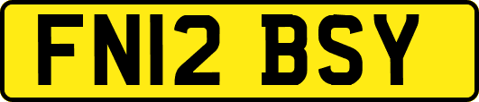 FN12BSY
