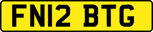 FN12BTG