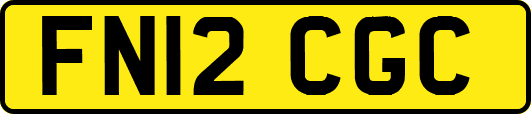 FN12CGC