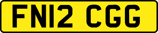 FN12CGG