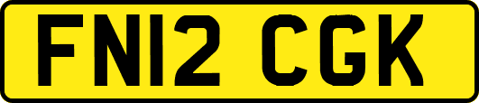 FN12CGK