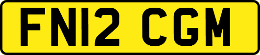 FN12CGM