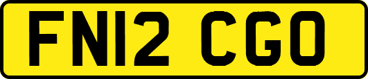 FN12CGO