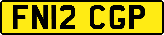 FN12CGP