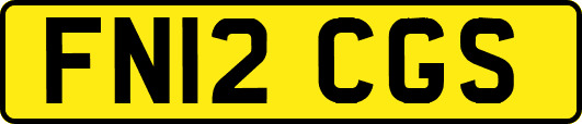 FN12CGS