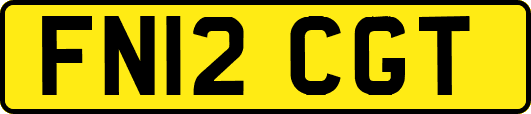 FN12CGT