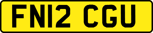 FN12CGU