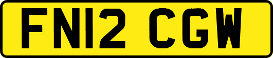 FN12CGW