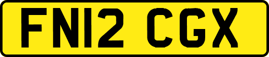 FN12CGX