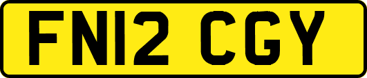 FN12CGY