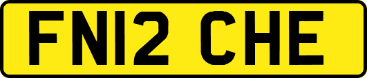 FN12CHE