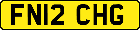 FN12CHG
